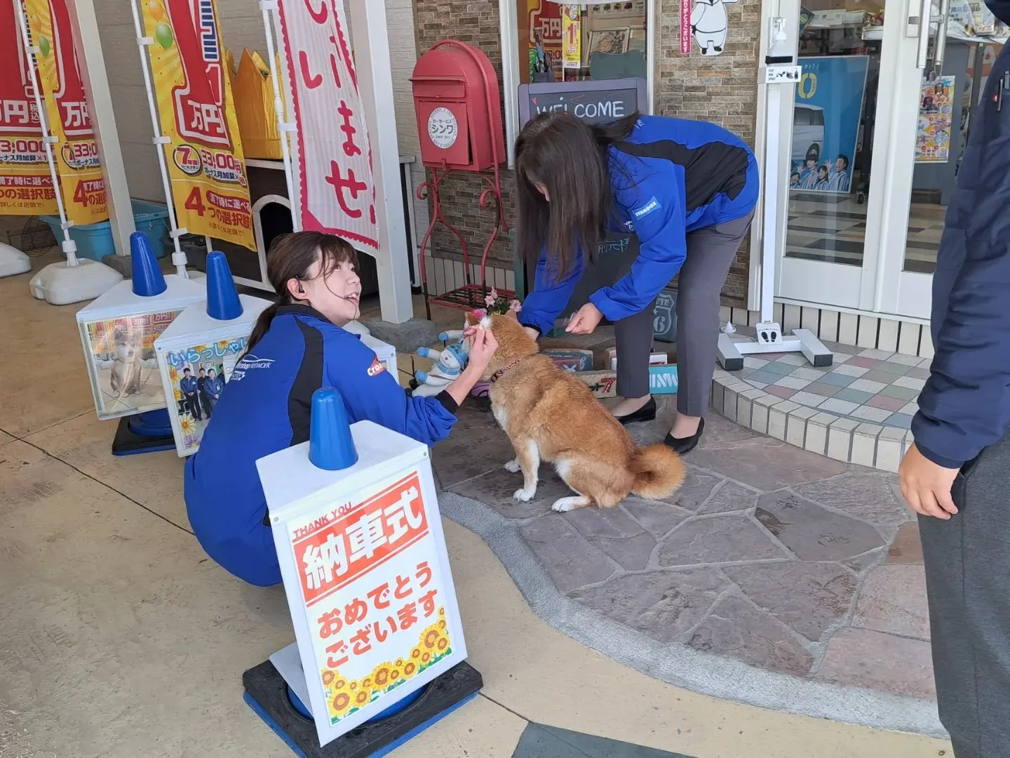 自動車保険の事なら泉佐野市のカーサービスシンワへ🎵