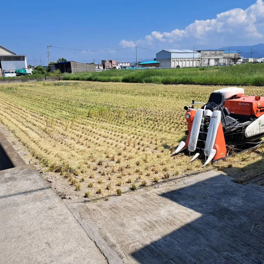 お車のキズ修理はカーサービスシンワにお任せ下さい‼️