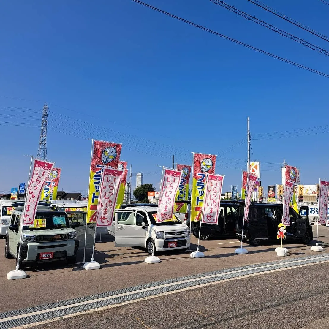 展示車コーナーリニューアルしました😍株式会社カーサービスシン...