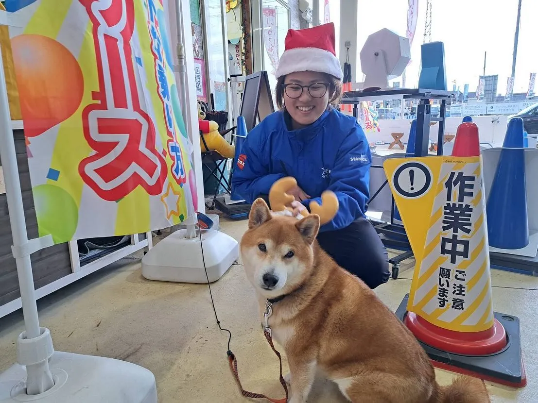 お車のことならなんでも泉佐野市のカーサービスシンワにお任せく...