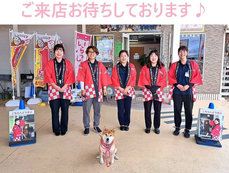 お車のことなら何でも泉佐野市のカーサービスシンワへお任せくだ...