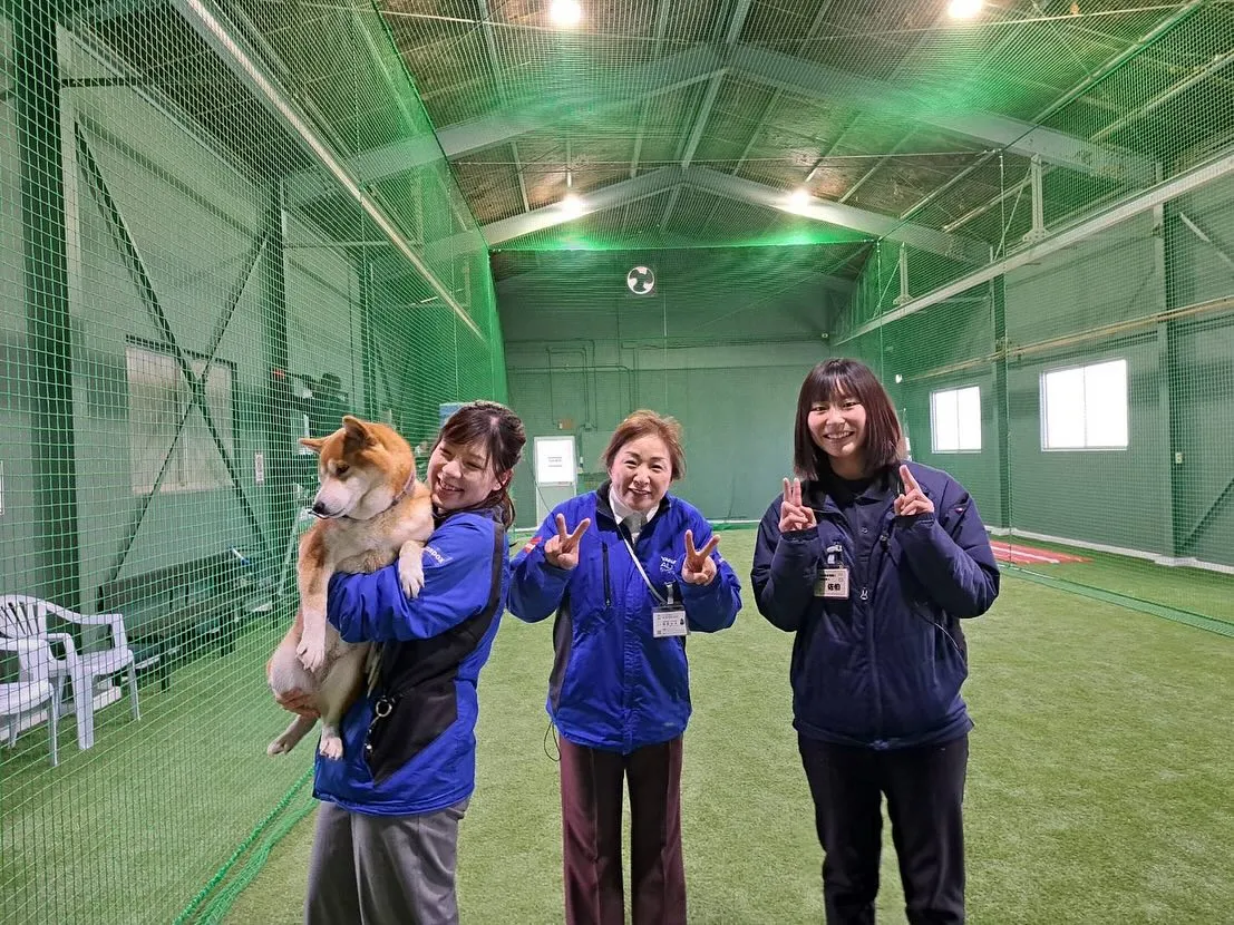 泉佐野市にシンワ室内練習場🆕がオープンしました📣⚾️＊°