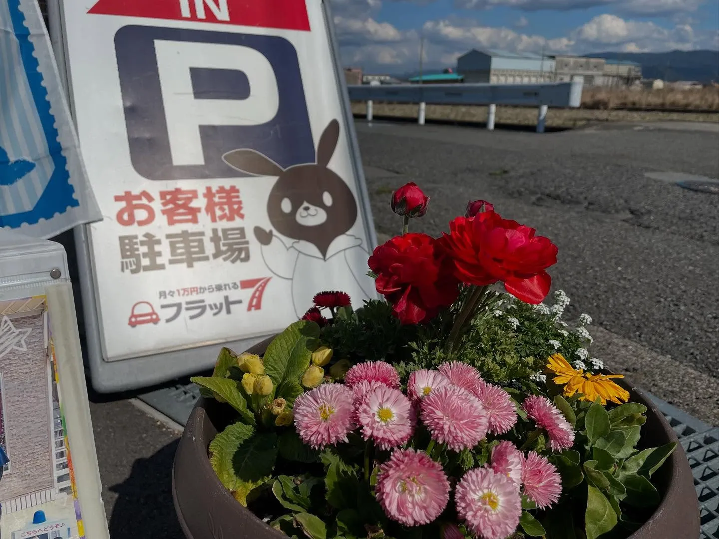 お車のことなら何でも泉佐野市のカーサービスシンワにお任せくだ...