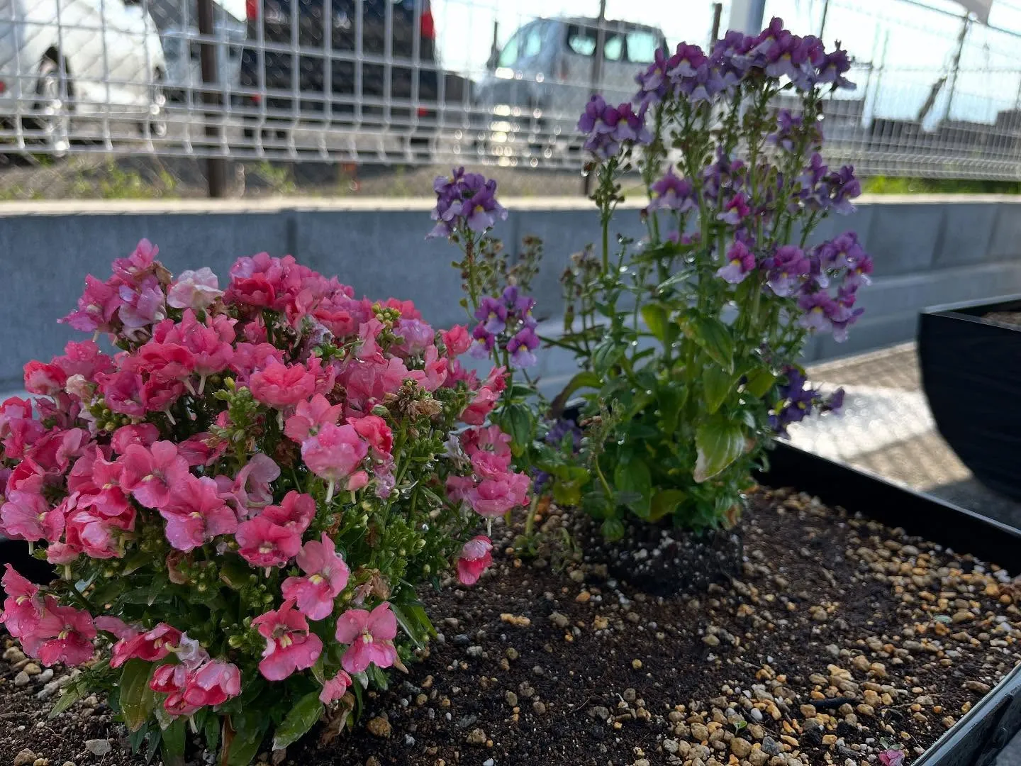 お車のキズヘコミ修理や車検整備、保険やカーリースなど、