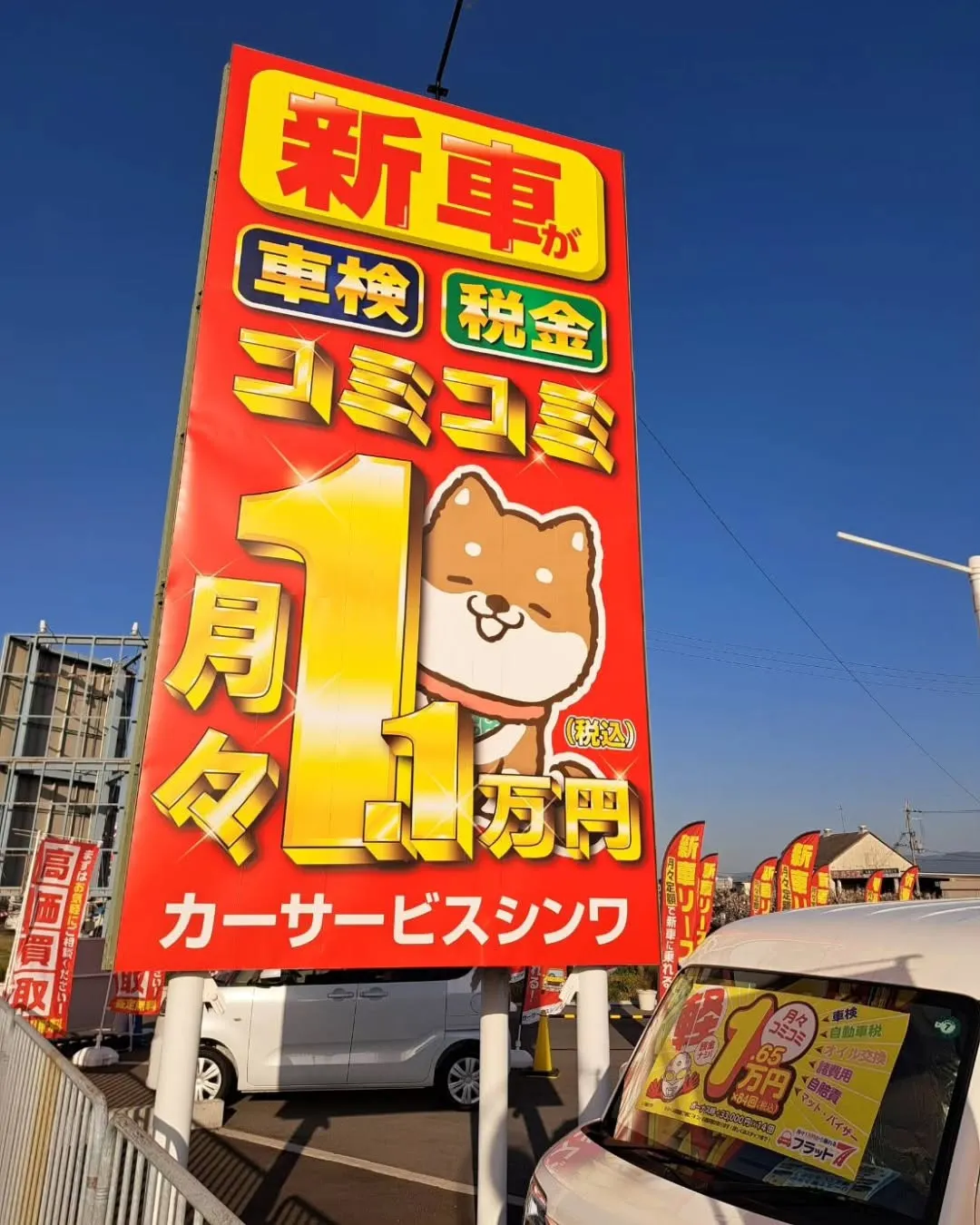 大阪・泉佐野で新車買うならフラット7泉佐野へ😆