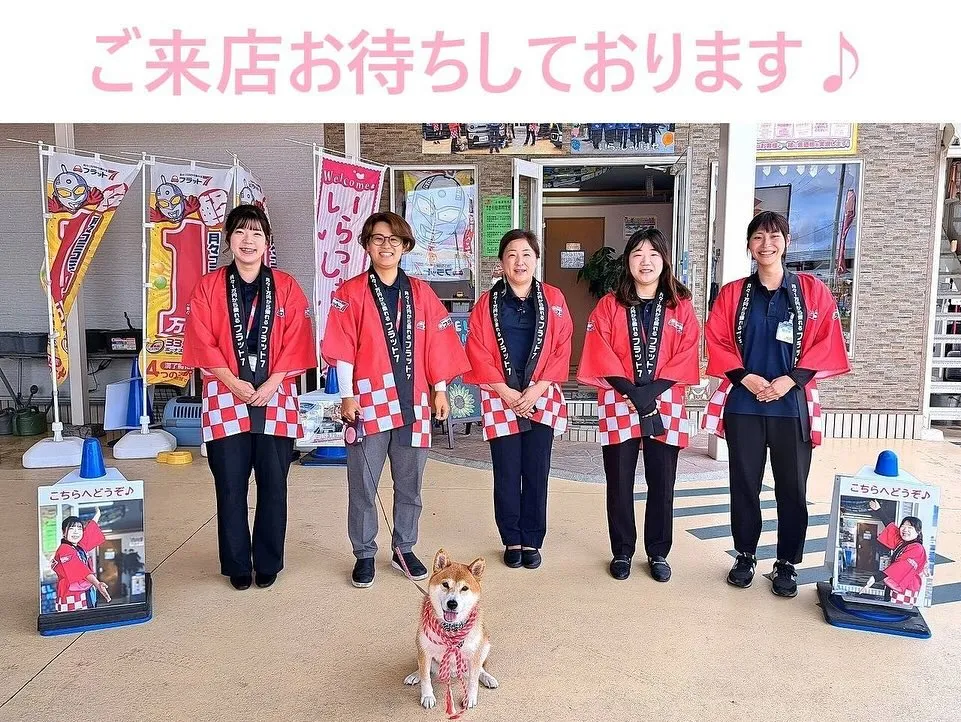 お車のキズヘコミ修理や車検整備、保険やカーリースなど、