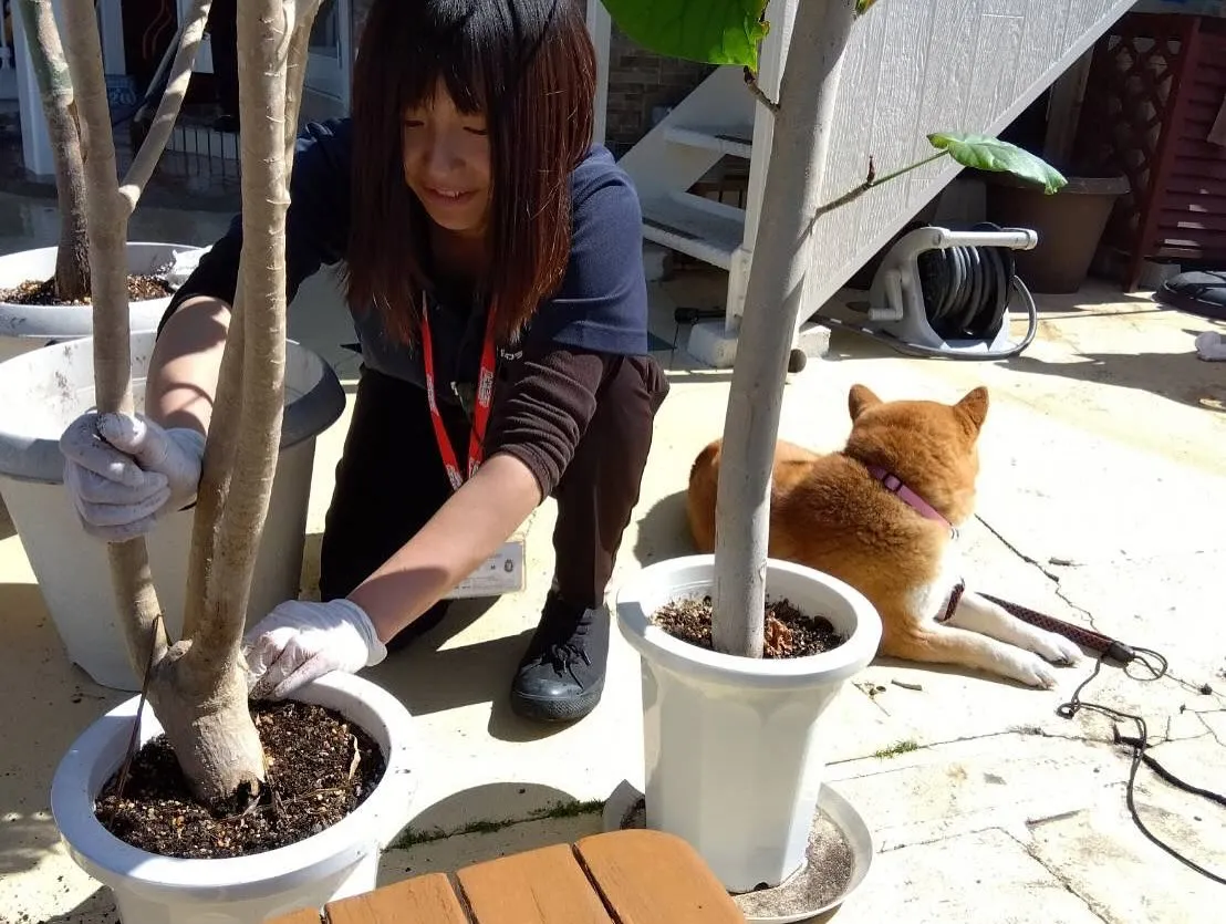 お車のことなら何でも泉佐野市のカーサービスシンワにお任せくだ...