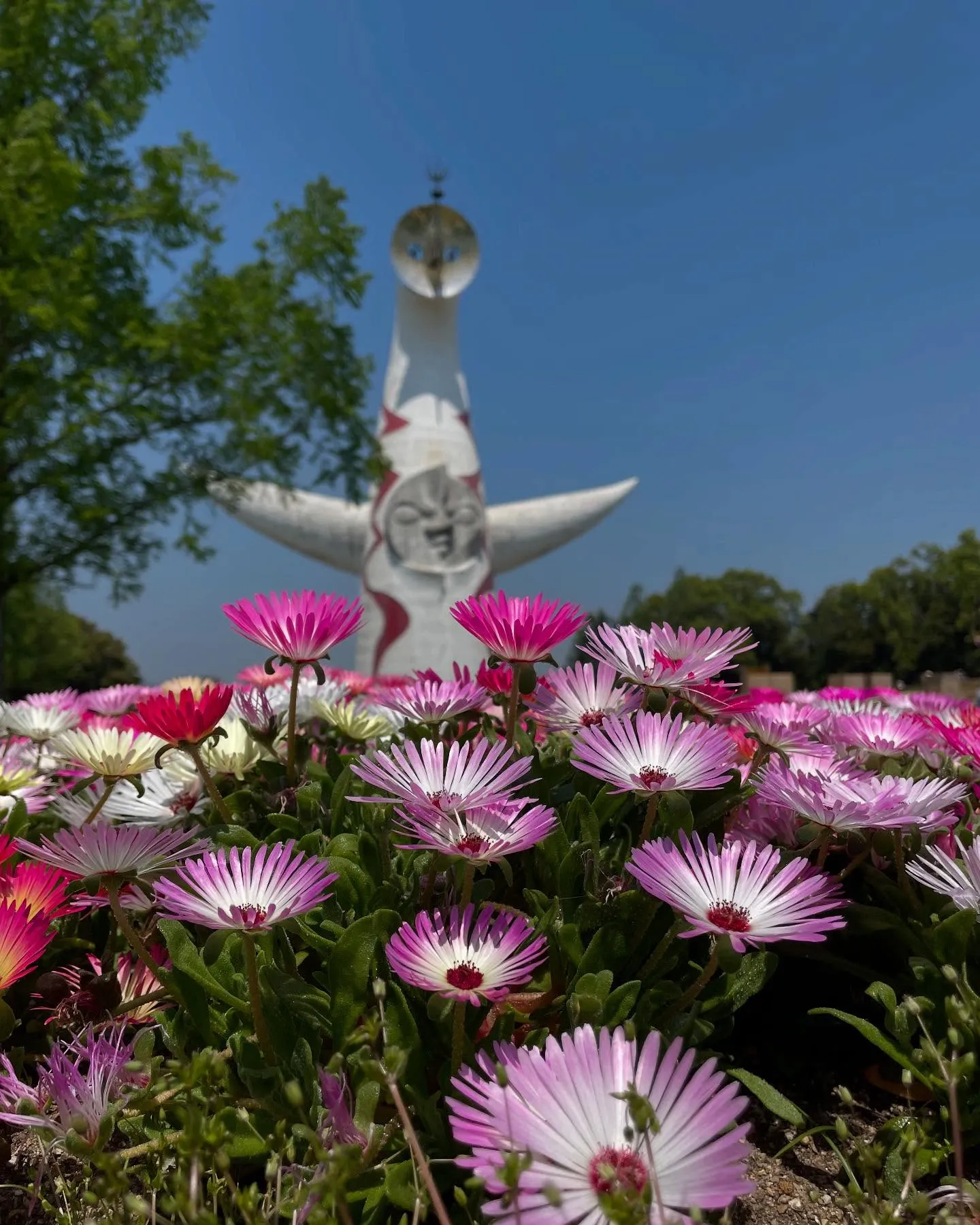 お車のことなら何でも泉佐野市のカーサービスシンワにお任せくだ...