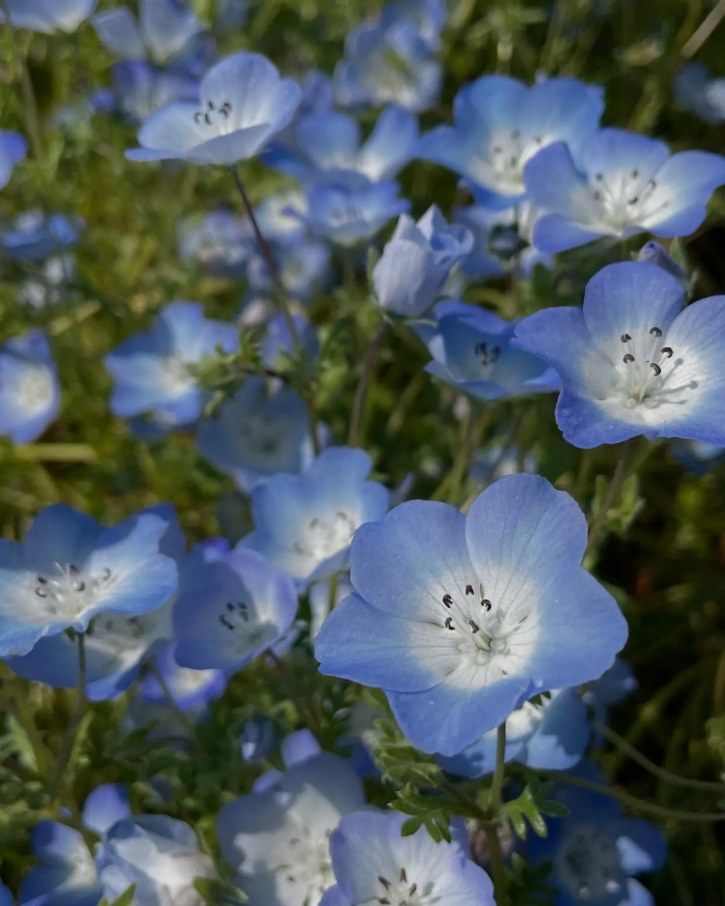 お車のことなら何でも泉佐野市のカーサービスシンワにお任せくだ...