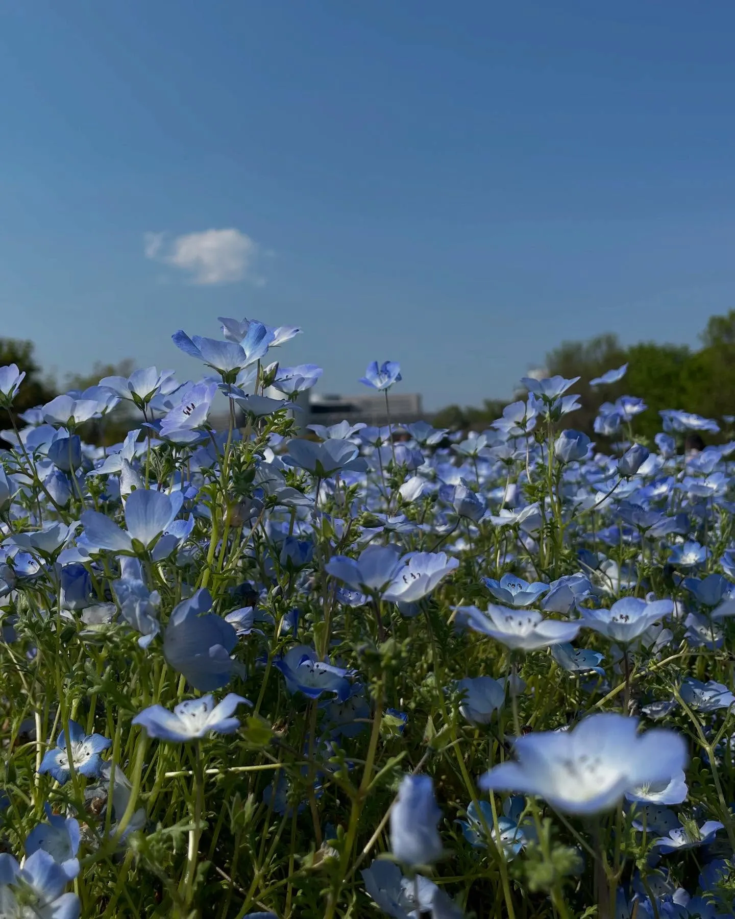 お車のことなら何でも泉佐野市のカーサービスシンワにお任せくだ...