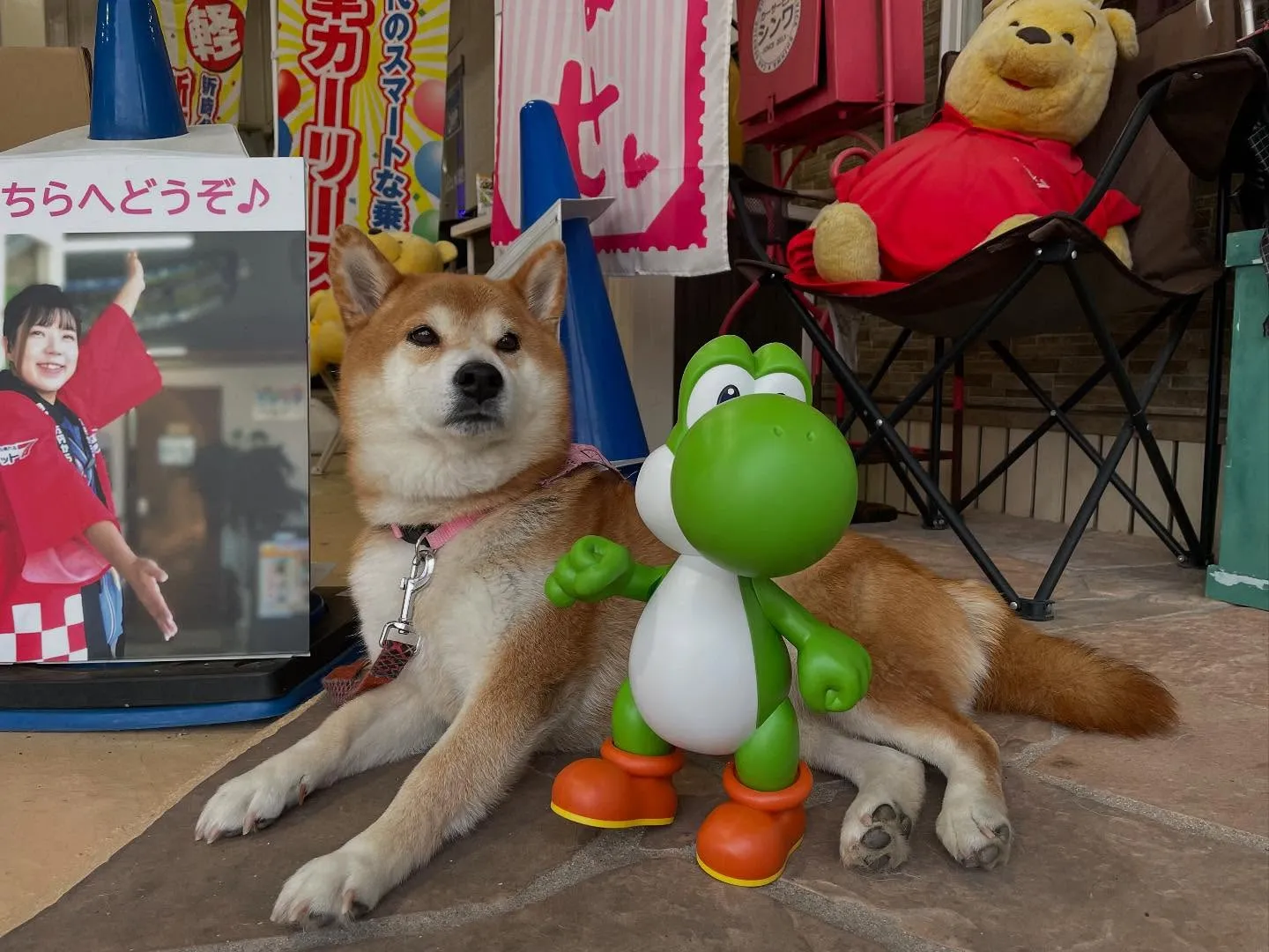 お車のことなら何でも泉佐野市のカーサービスシンワにお任せくだ...