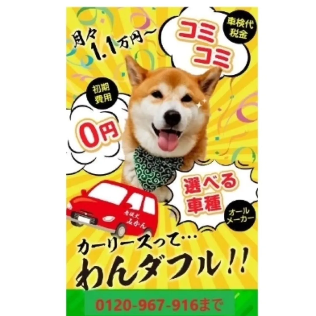 自動車の事なら大阪・泉佐野のカーサービス　シンワへ😆