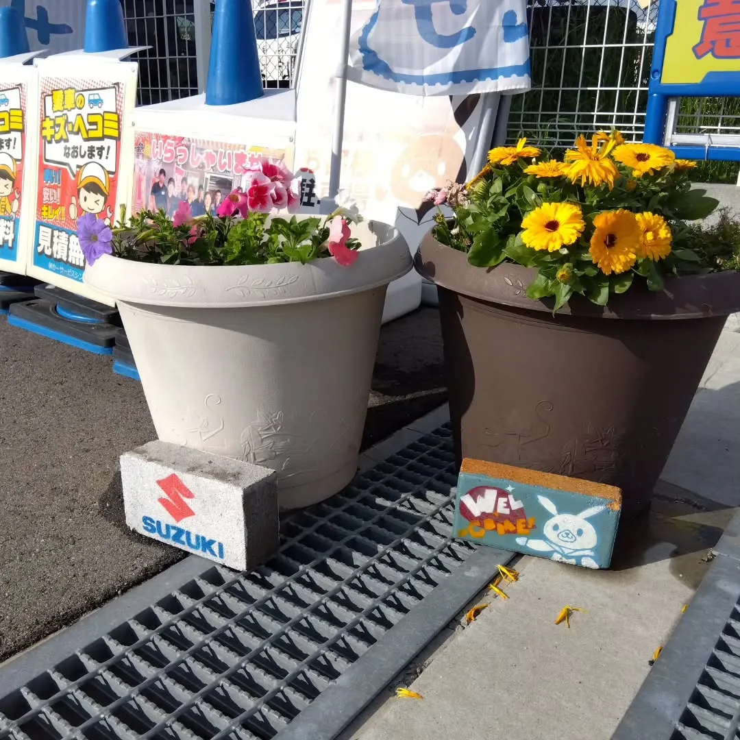 自動車の事なら大阪・泉佐野のカーサービス　シンワへ😆