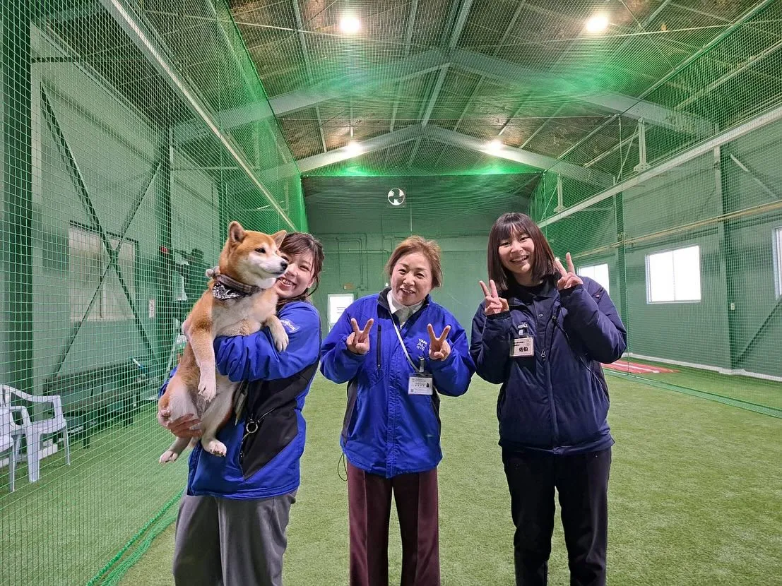 雨天もご利用いただけるシンワ室内練習場、泉佐野市にopenし...