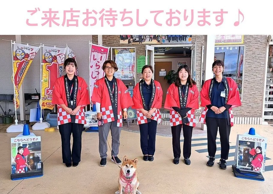 お車のキズヘコミ修理や車検整備、保険やカーリースなど、