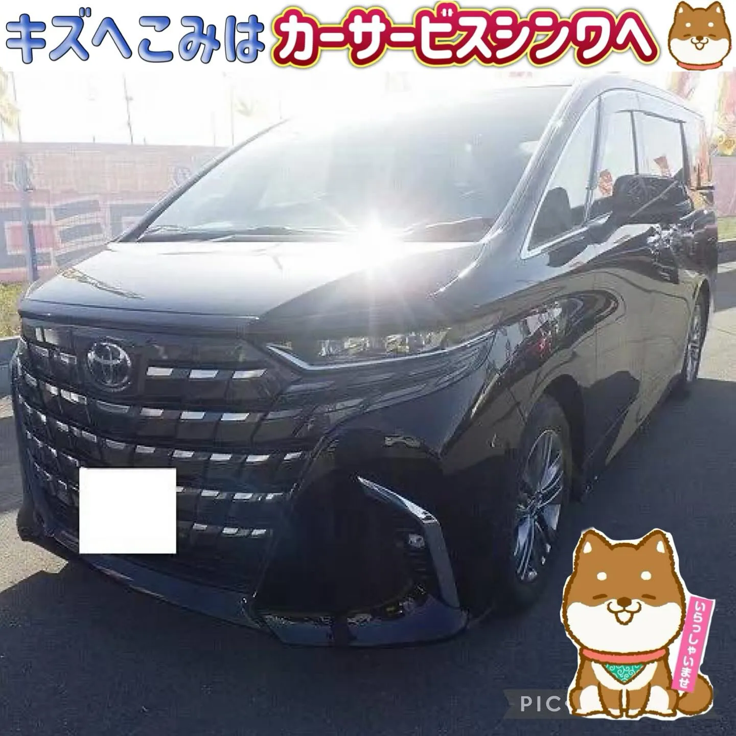 大阪・泉佐野で中古車買うならカーサービス　シンワへ😆