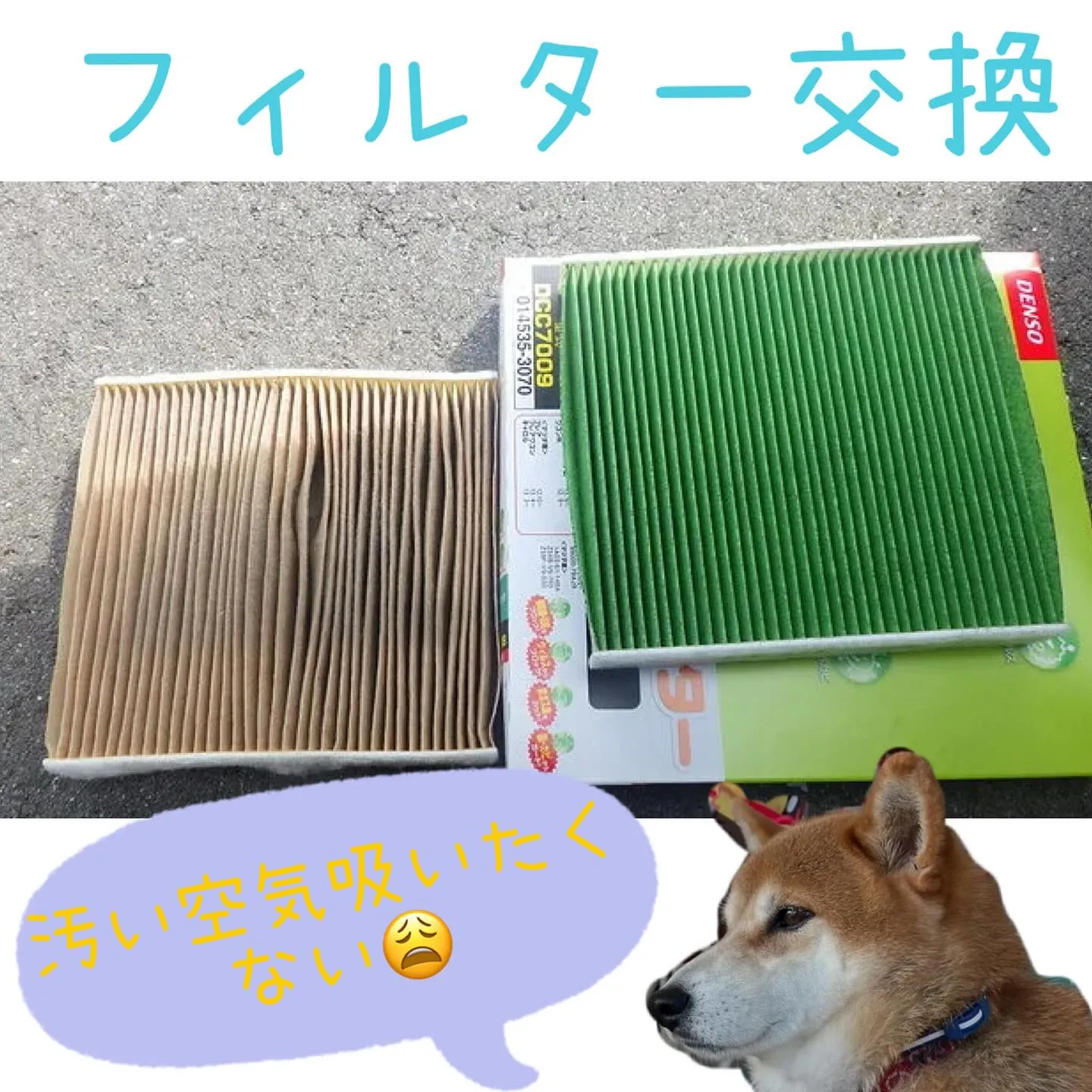 車検、整備はカーサービスシンワへぜひお任せください😊🚗