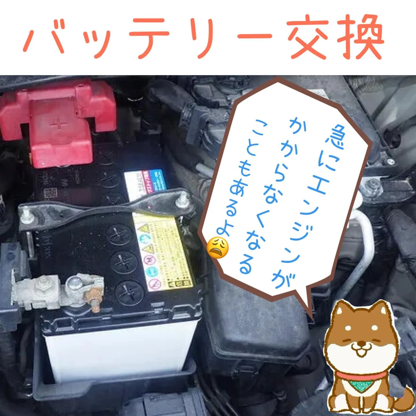 車検、整備はカーサービスシンワへぜひお任せください😊🚗