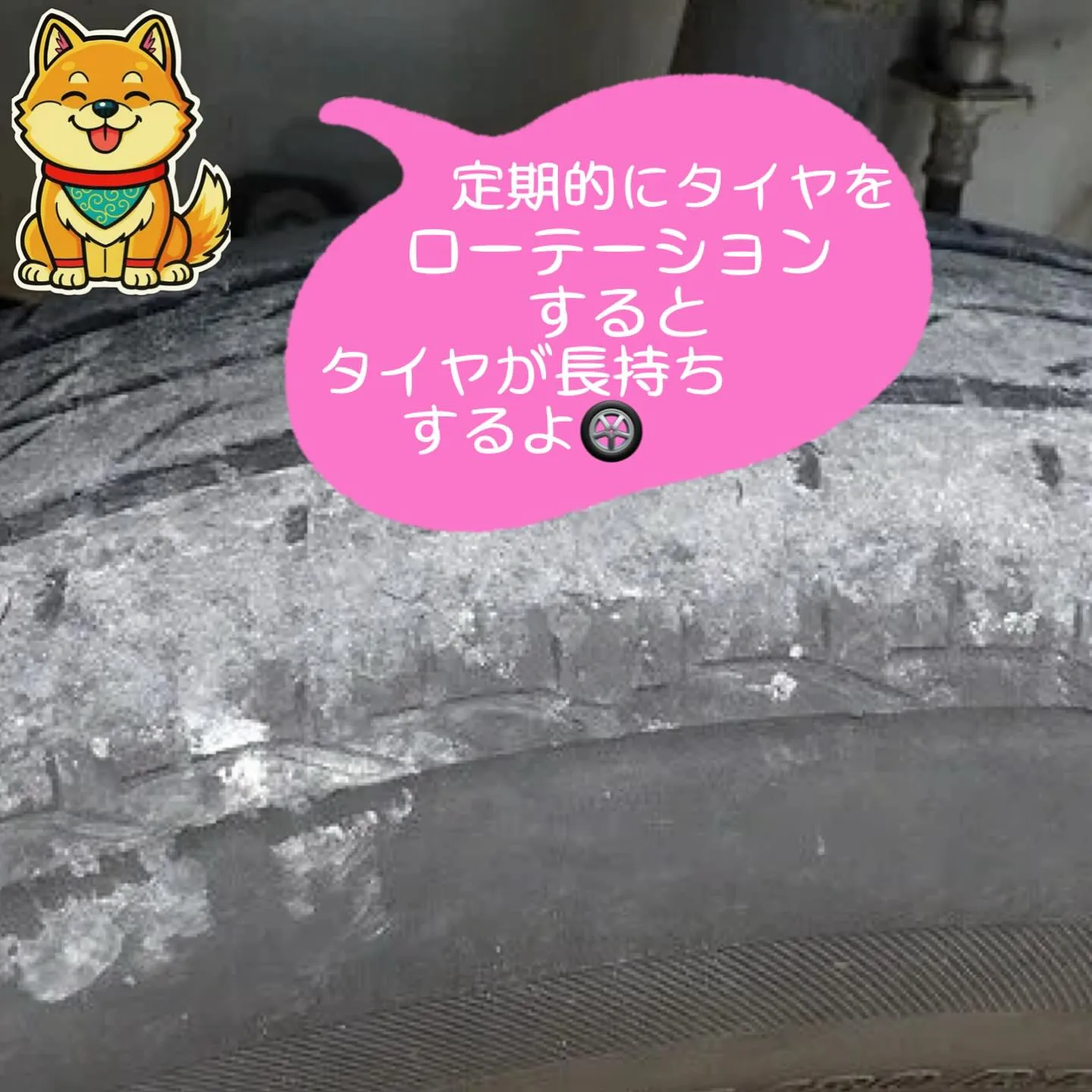 車検整備もぜひカーサービスシンワへおまかせください🚙🚗
