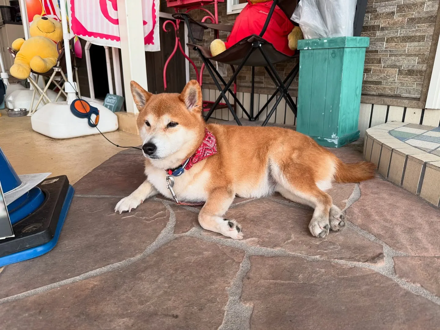 お車のキズヘコミ修理や車検整備、カーリースのことなど何でもカ...