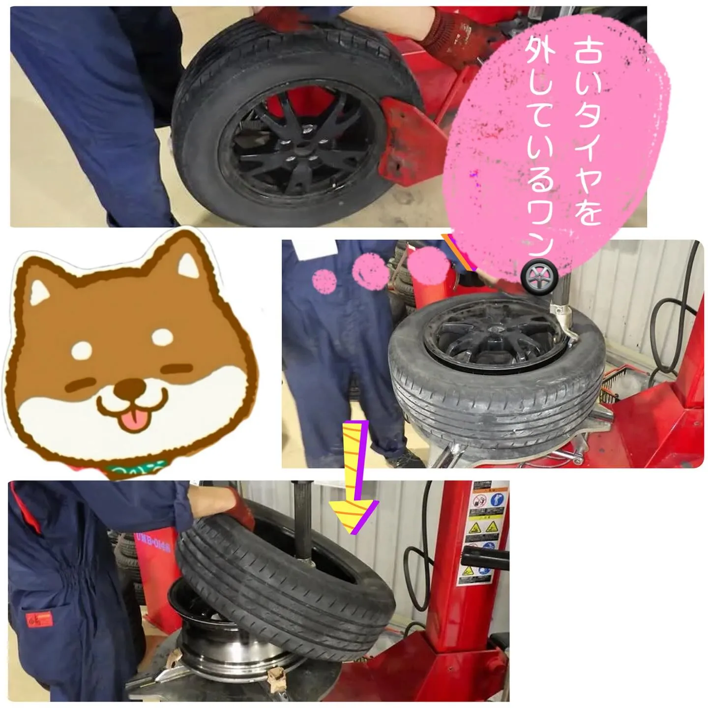 車検整備もカーサービスシンワへお任せください🚙✨