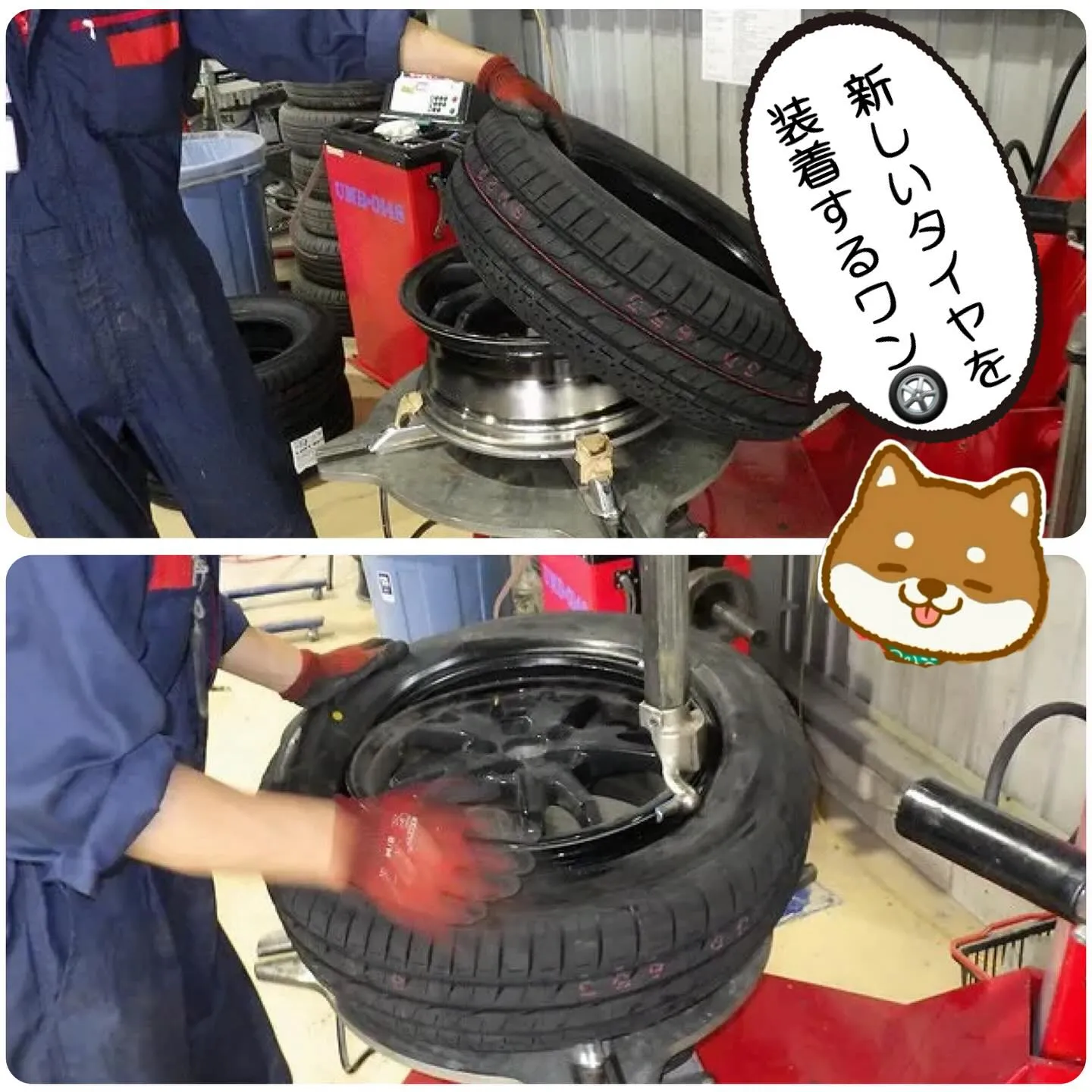 車検整備もカーサービスシンワへお任せください🚙✨