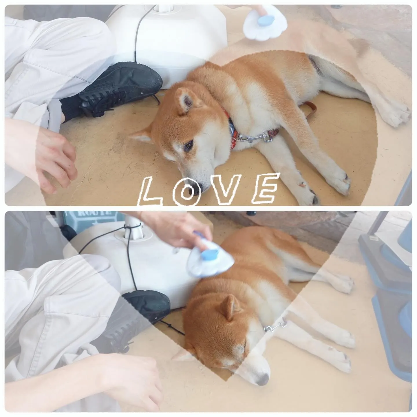 お車のキズヘコミ修理や車検整備、保険やカーリースなど、