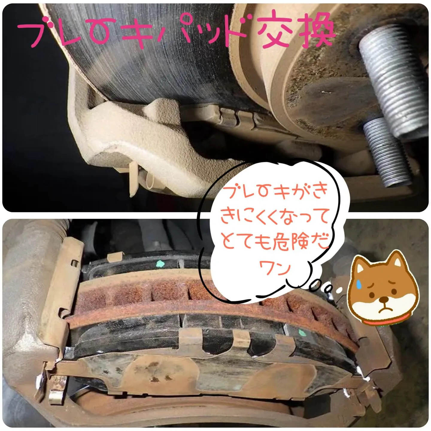 カーリース、車検、修理全部カーサービスシンワへお任せください...