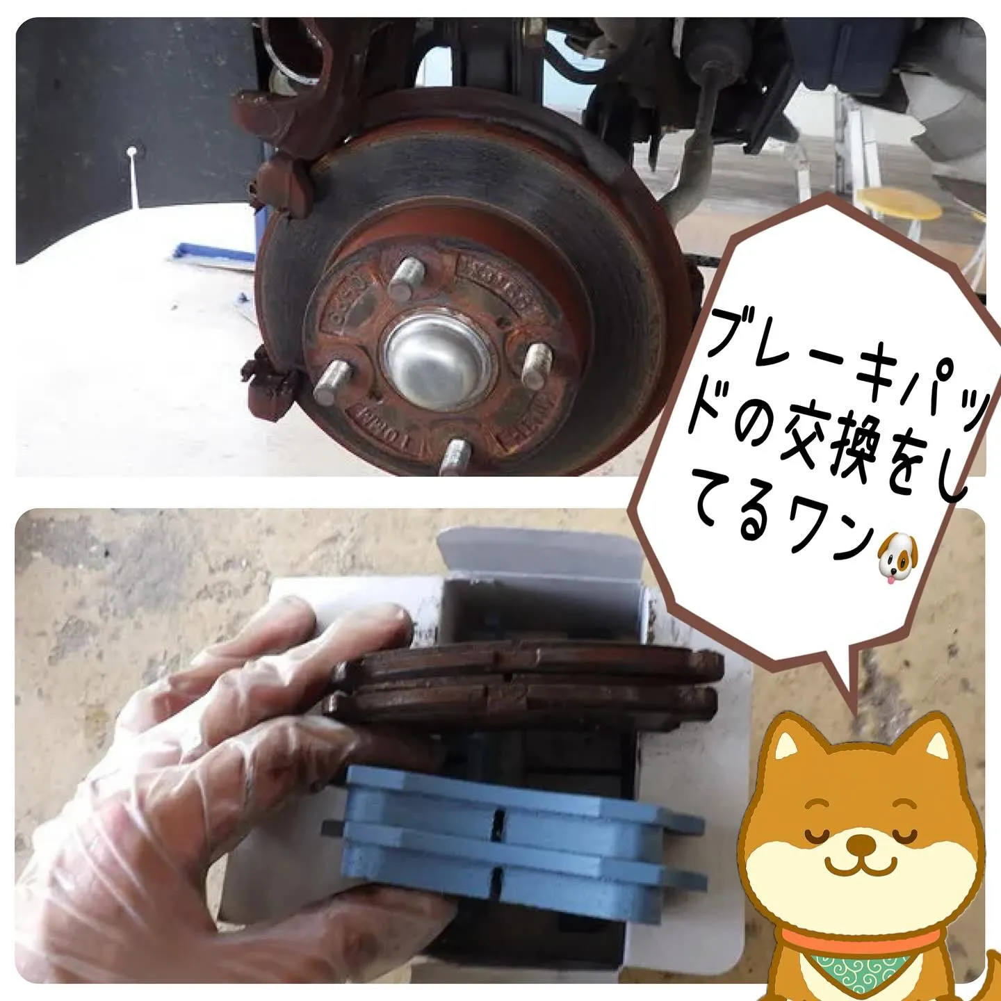 🚗💨車検のご相談ならカーサービスシンワへお任せください💐