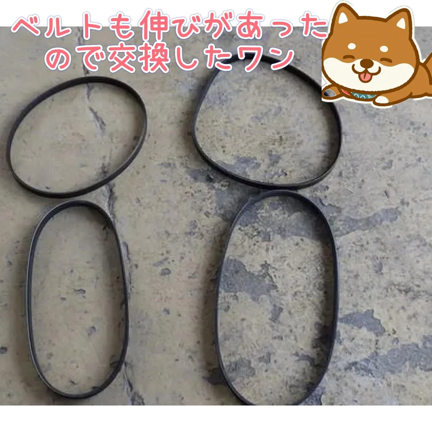 🚗💨車検のご相談ならカーサービスシンワへお任せください💐