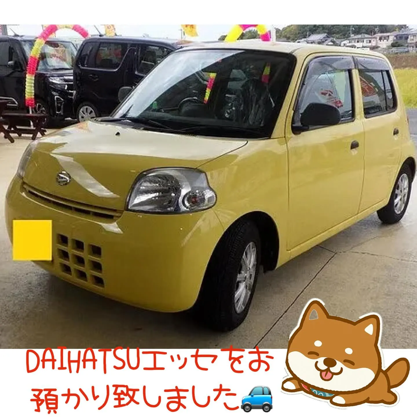 大切なお車の事ならカーサービスシンワシンワへお任せください🚗