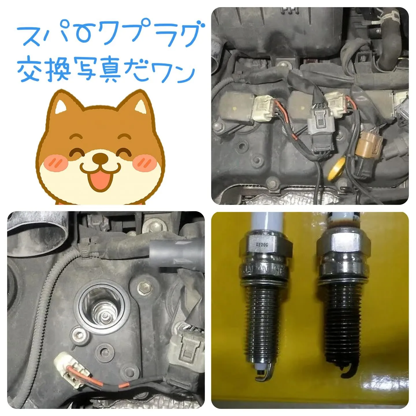 大切なお車の事ならカーサービスシンワシンワへお任せください🚗