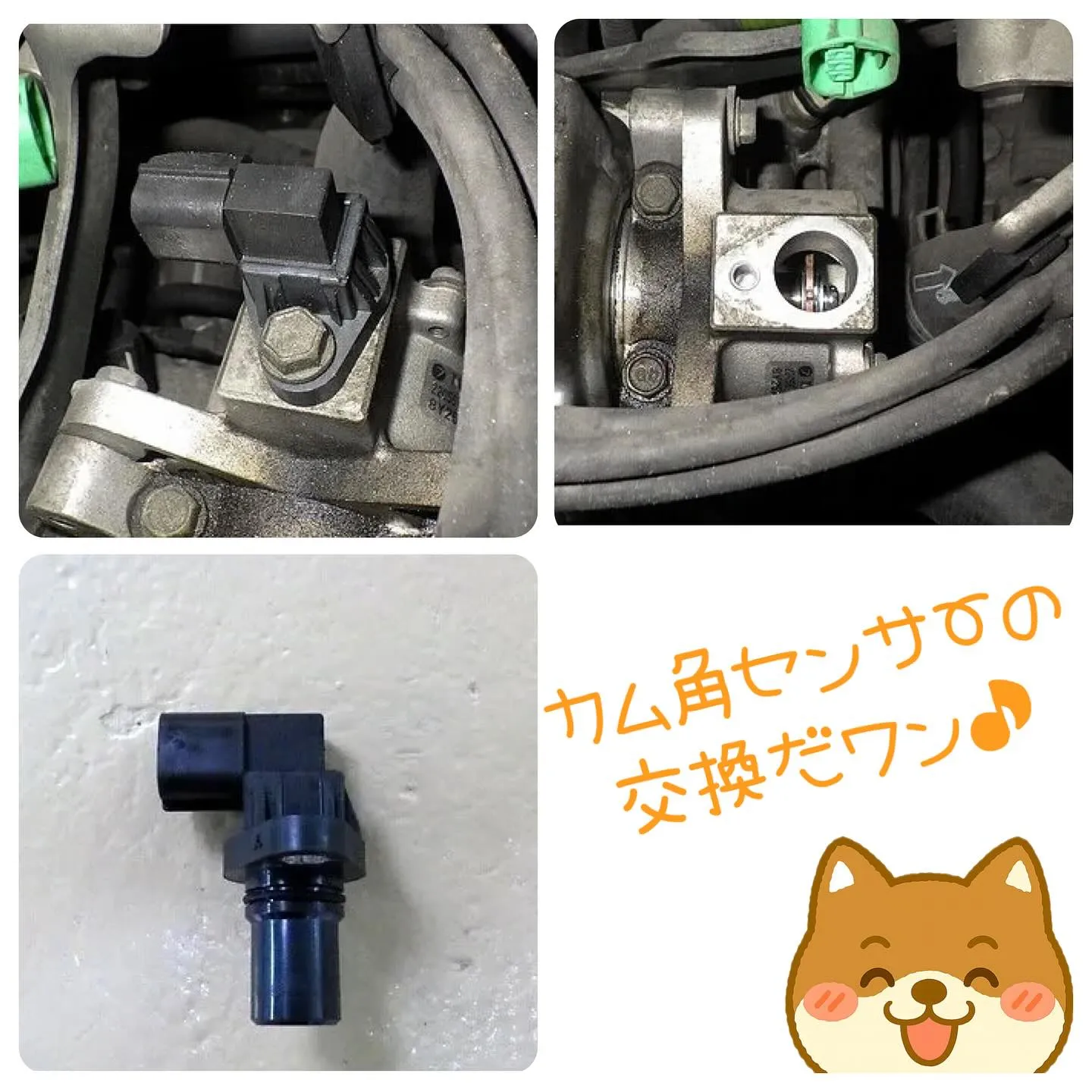 車検整備は泉佐野カーサービスシンワへお任せください🚗🌈