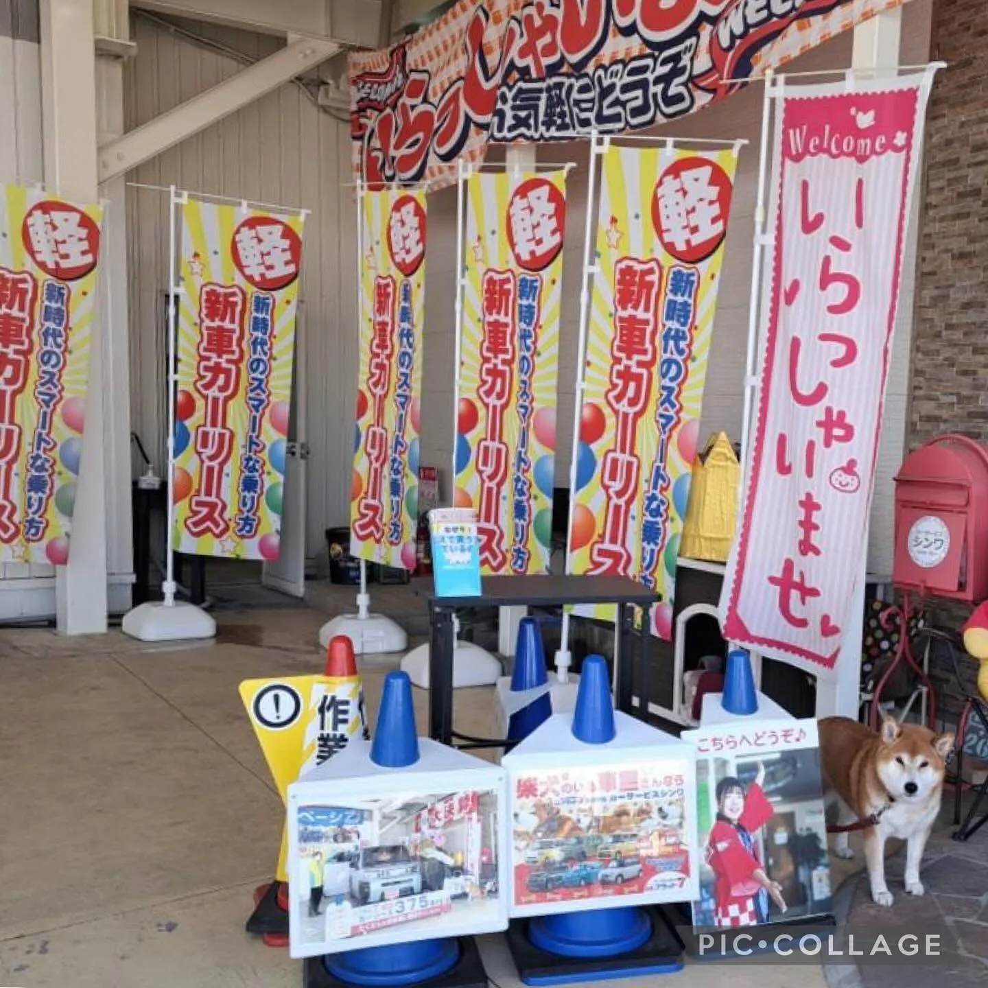 車検整備は泉佐野カーサービスシンワへお任せください🚗🌈