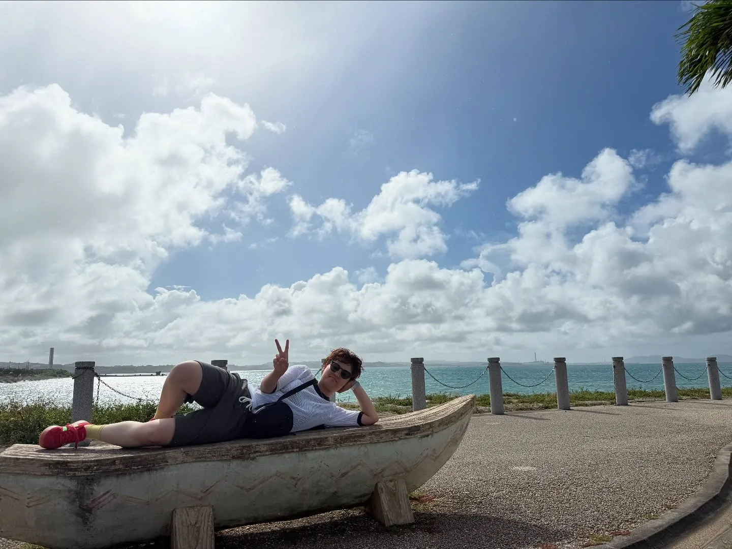 お車のことなら何でも泉佐野市のカーサービスシンワにお任せくだ...