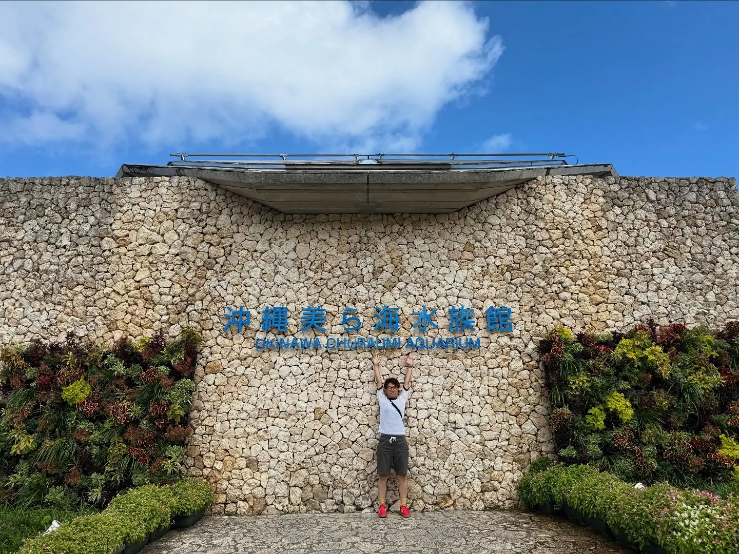 お車のことなら何でも泉佐野市のカーサービスシンワにお任せくだ...