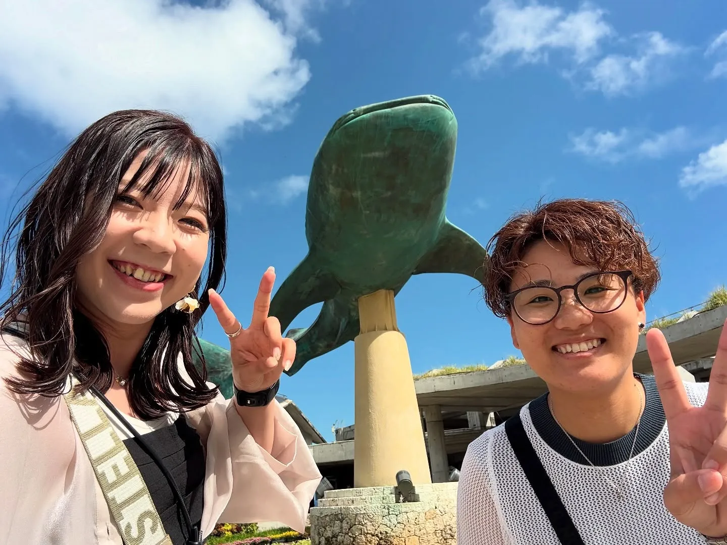 お車のことなら何でも泉佐野市のカーサービスシンワにお任せくだ...