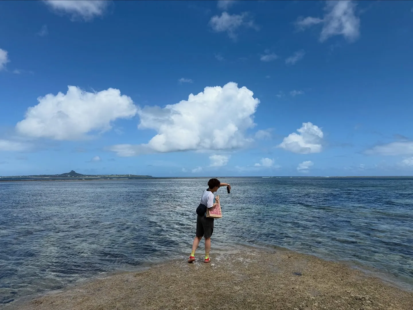 お車のことなら何でも泉佐野市のカーサービスシンワにお任せくだ...