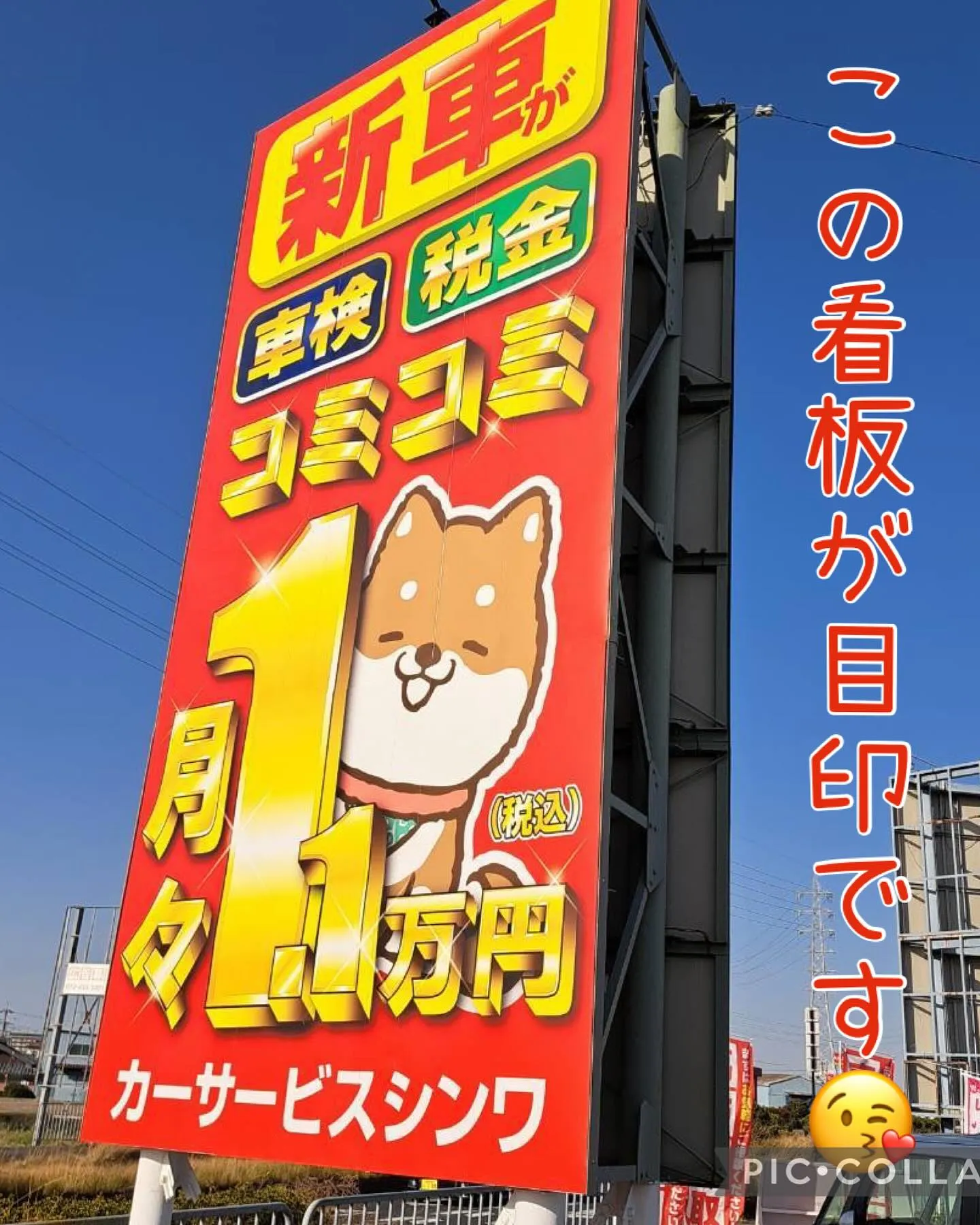 📖✨**シンワが雑誌に掲載されました！**✨📖