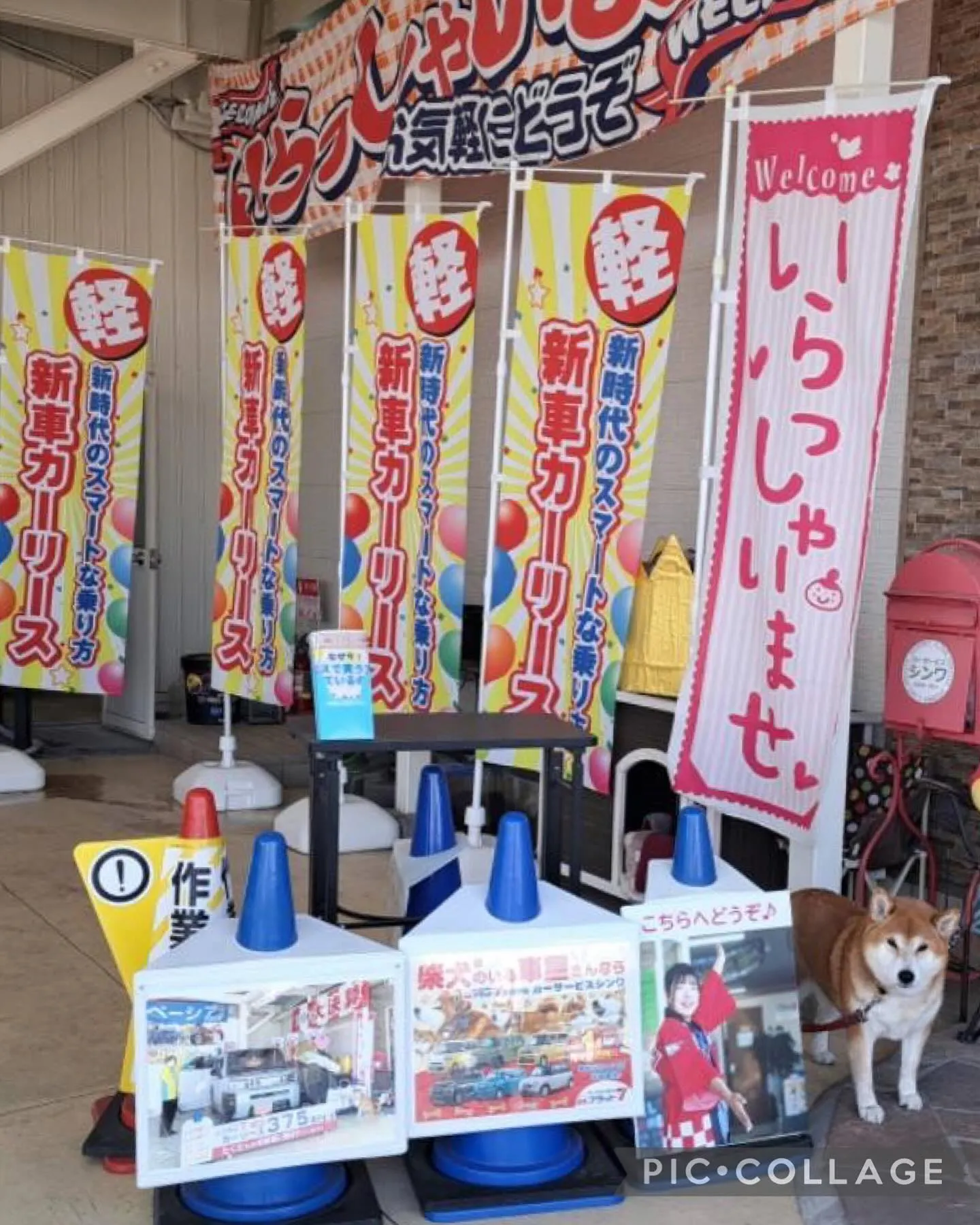 🎉🎽制服リニューアルのお知らせ🎽🎉