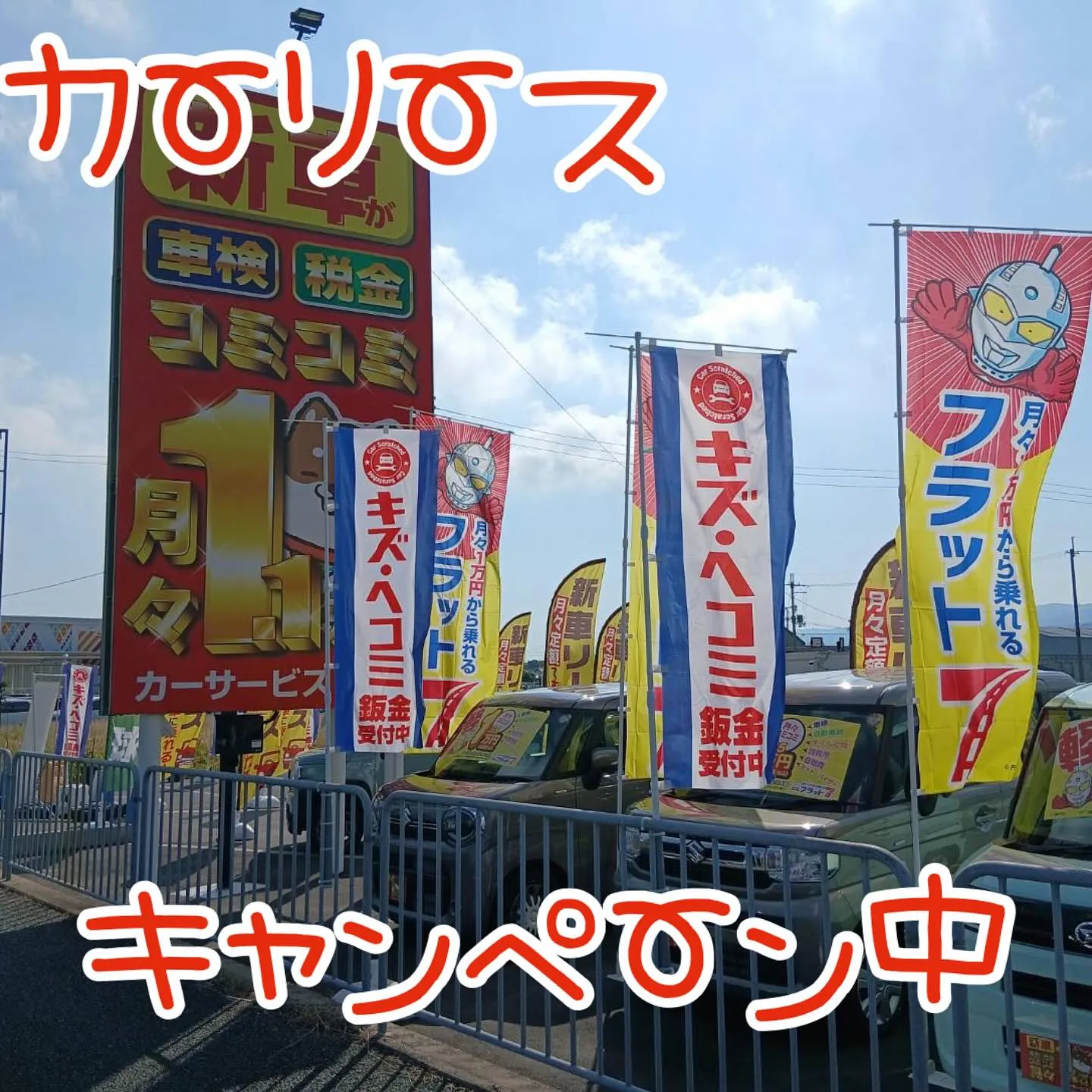 🐹カーリースするならカーサービスシンワへ🚗💨