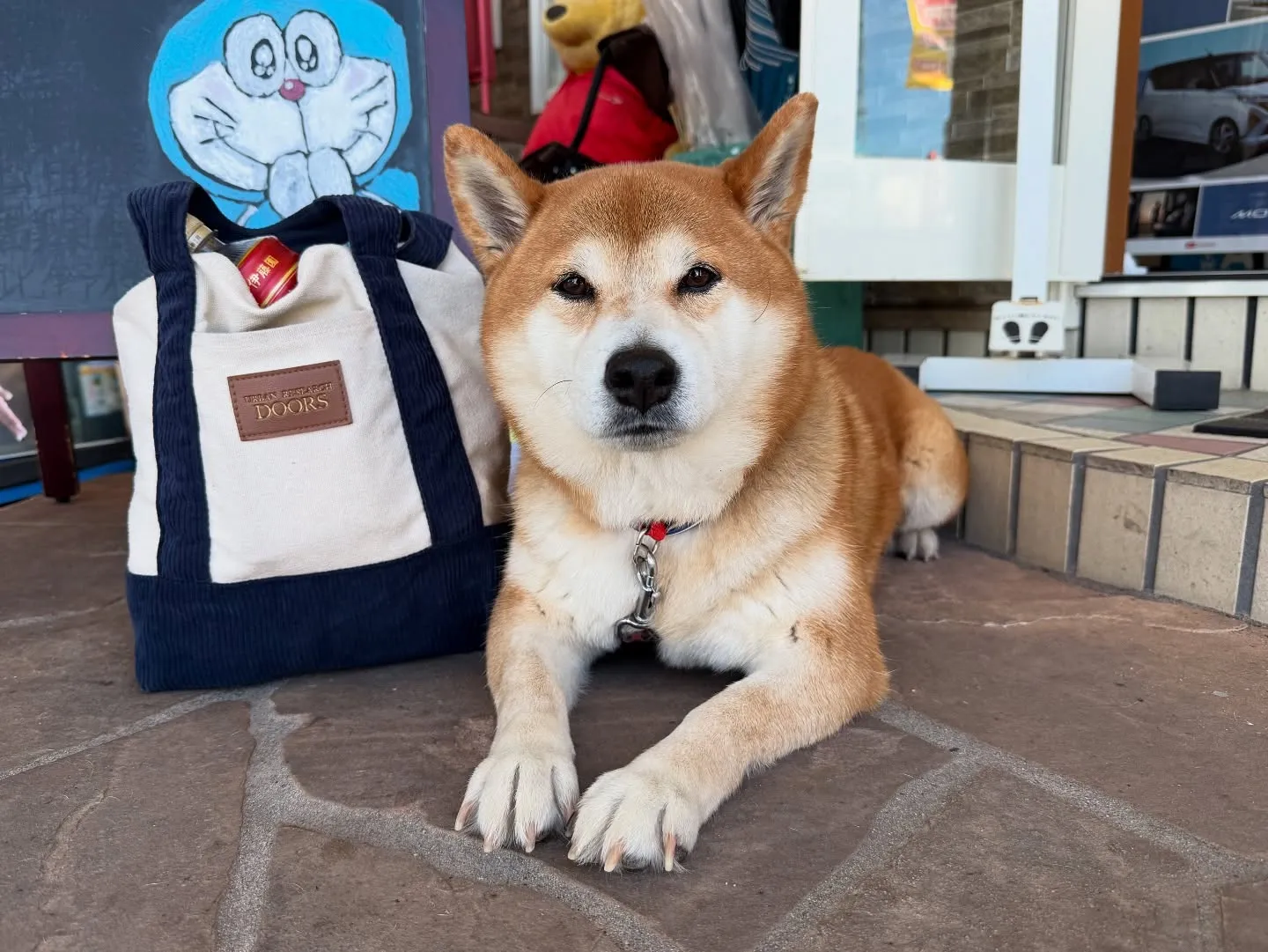お車のことなら何でも泉佐野市のカーサービスシンワにお任せくだ...