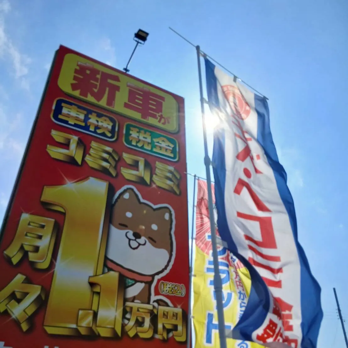 連休明けから通常営業開始のカーサービスシンワです😌