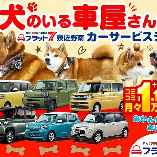 連休明けから通常営業開始のカーサービスシンワです😌