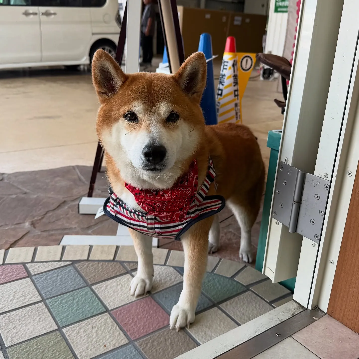 お車のことなら何でも泉佐野市のカーサービスシンワにお任せくだ...