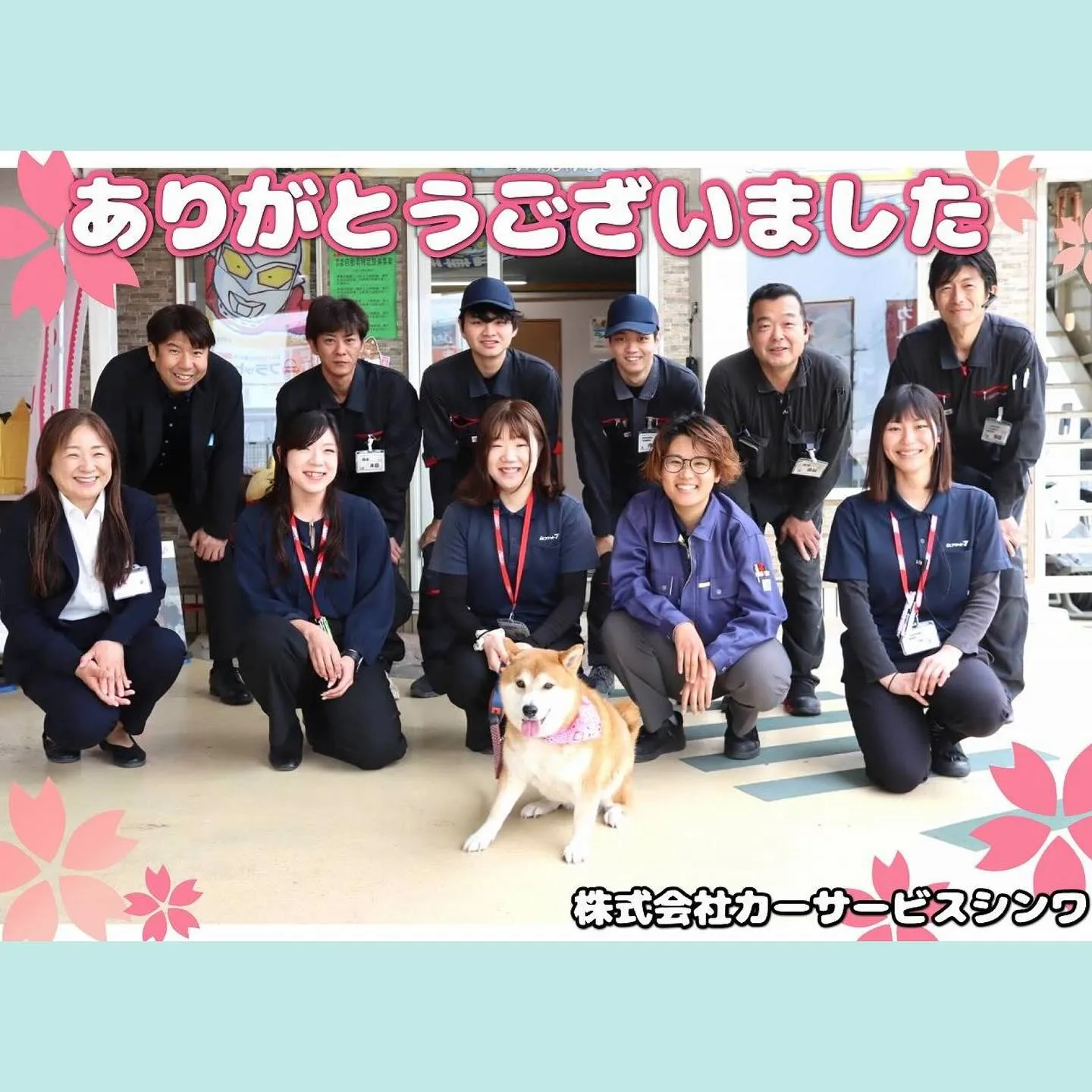 🚗✨車の塗装ハゲ補修事例✨