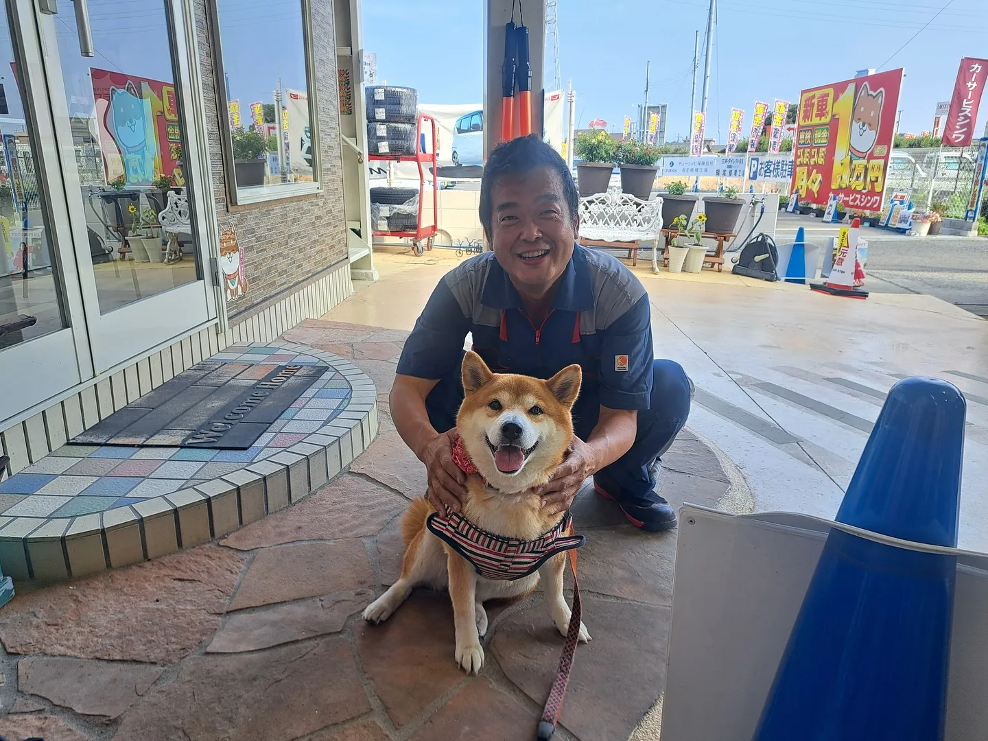 お車のことならなんでも泉佐野市のカーサービスシンワにお任せく...