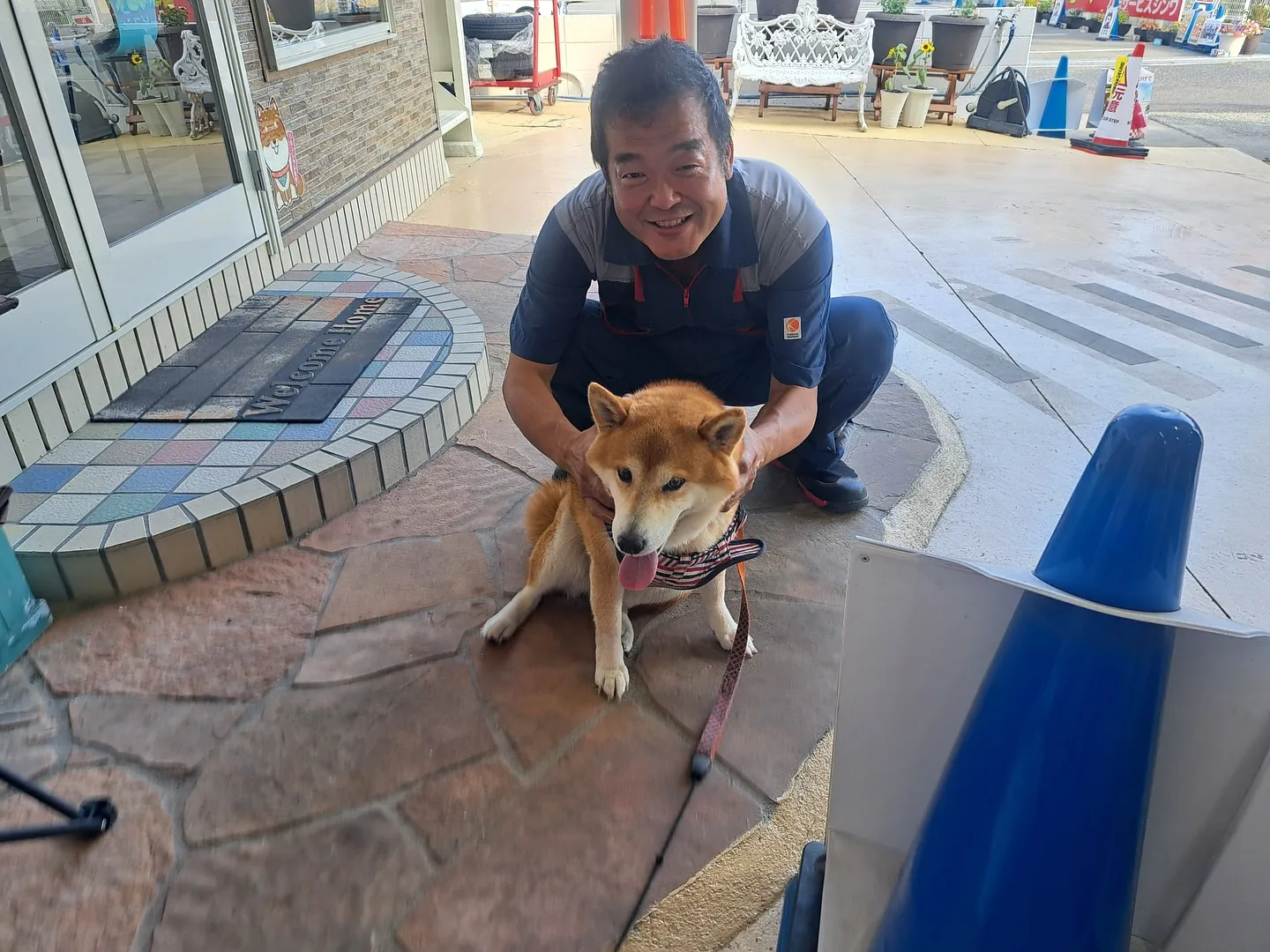 お車のことならなんでも泉佐野市のカーサービスシンワにお任せく...