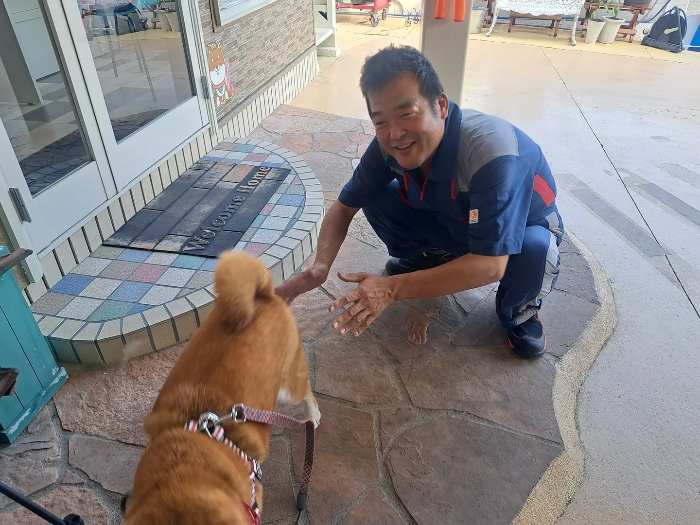 お車のことならなんでも泉佐野市のカーサービスシンワにお任せく...