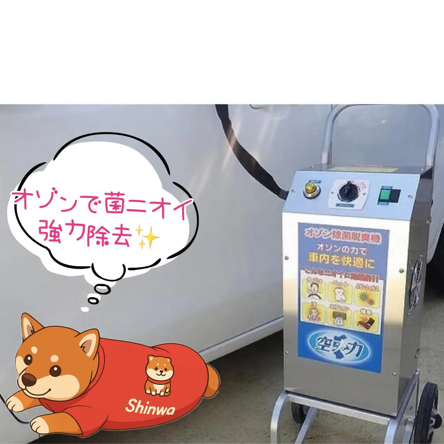 🚗🔧 車検整備もカーサービスシンワへおまかせください🔧🚗